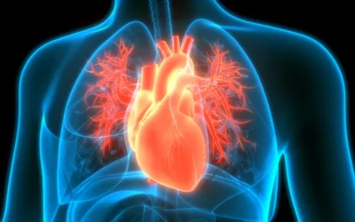 Congestive Heart failure: Symptoms, Diagnosis and treatment